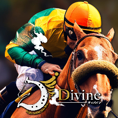 Divine(ディバイン)の競馬予想サイト情報